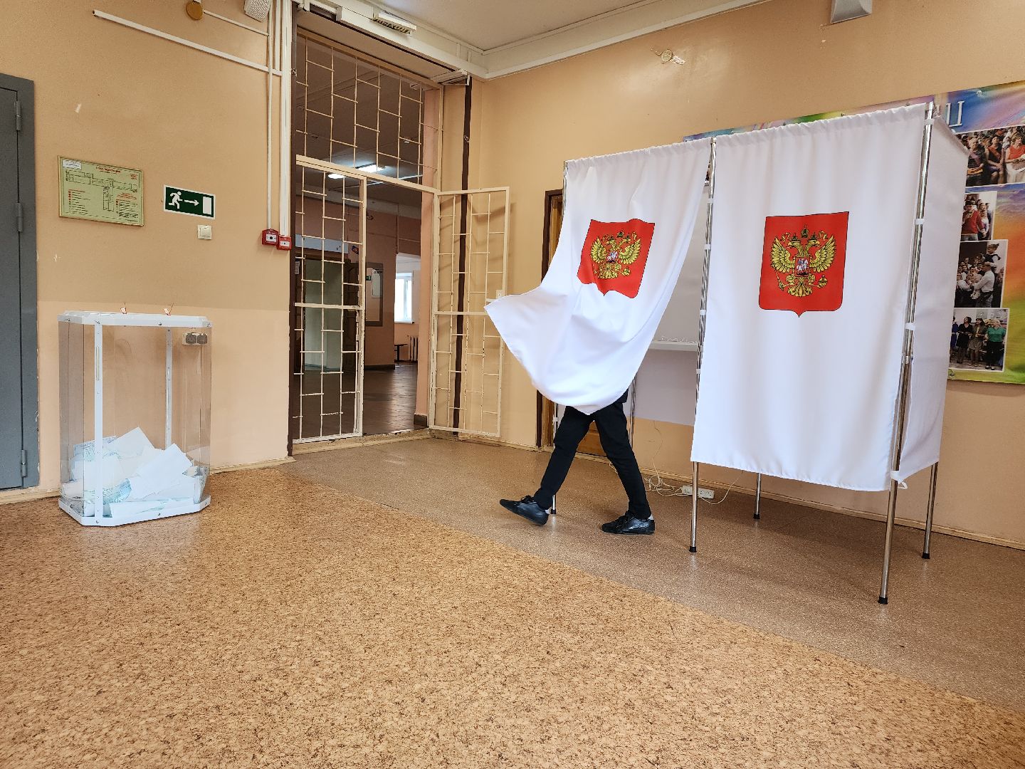 Снегири, голосование, выборы