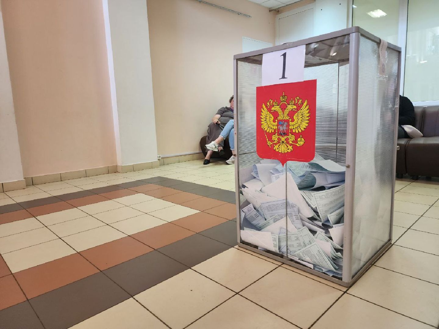 Снегири, голосование, выборы