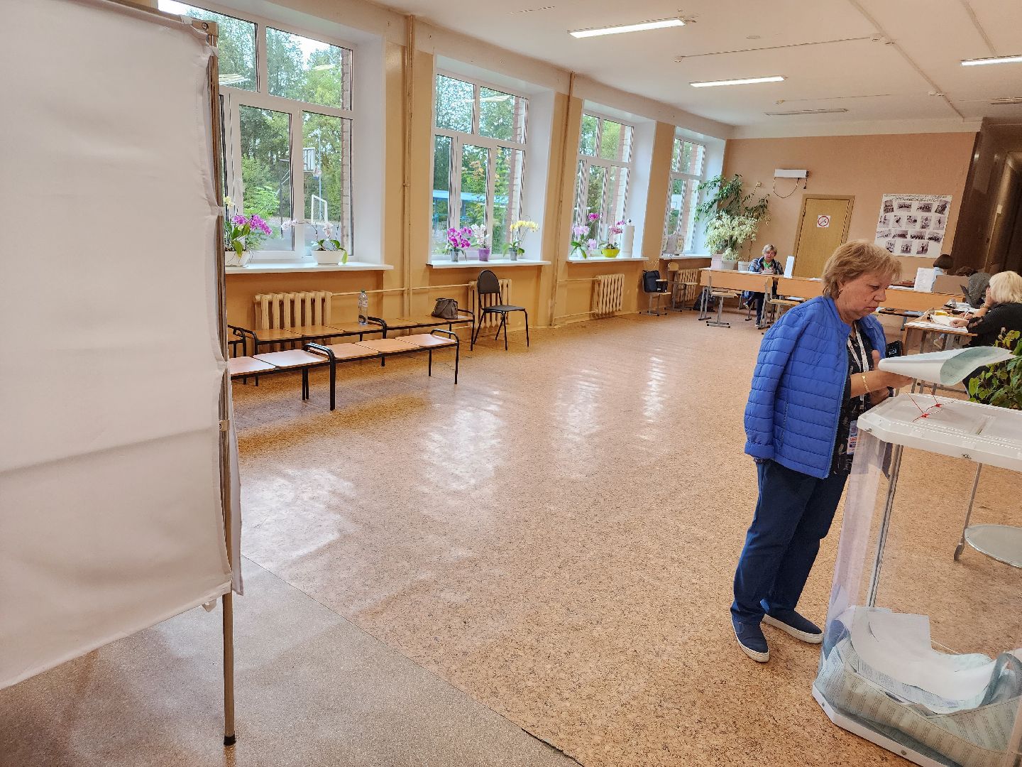 Снегири, голосование, выборы