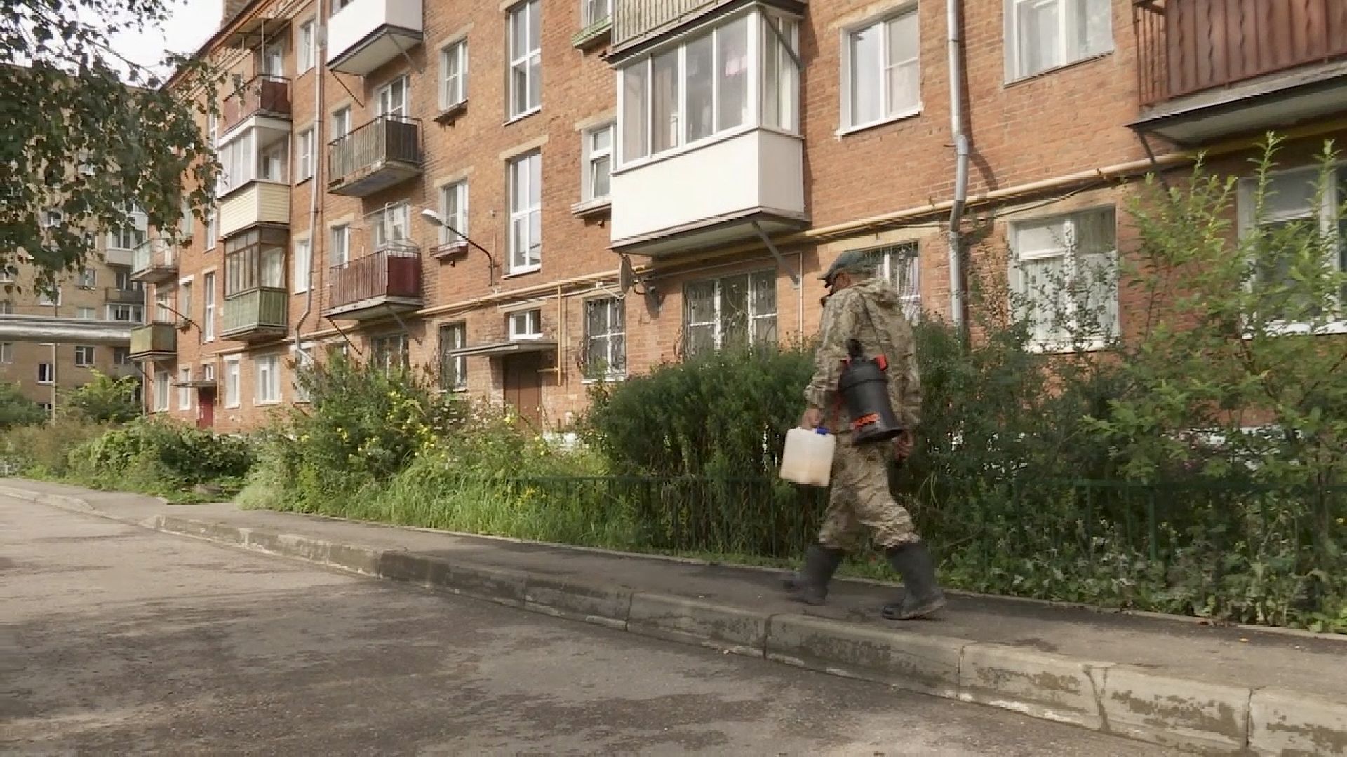 Клин, общество, ЖКХ, борьба с насекомыми