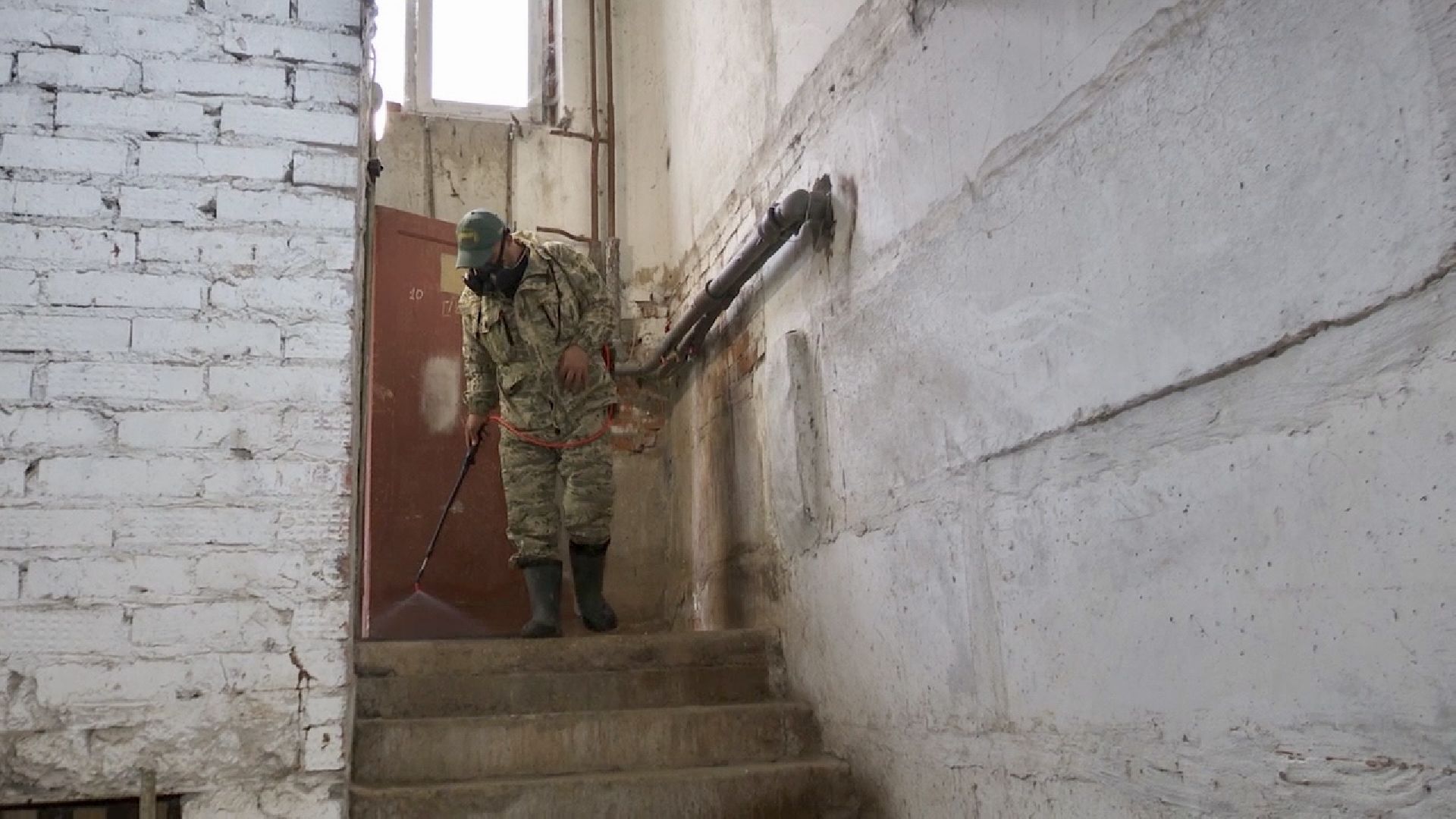 Клин, общество, ЖКХ, борьба с насекомыми