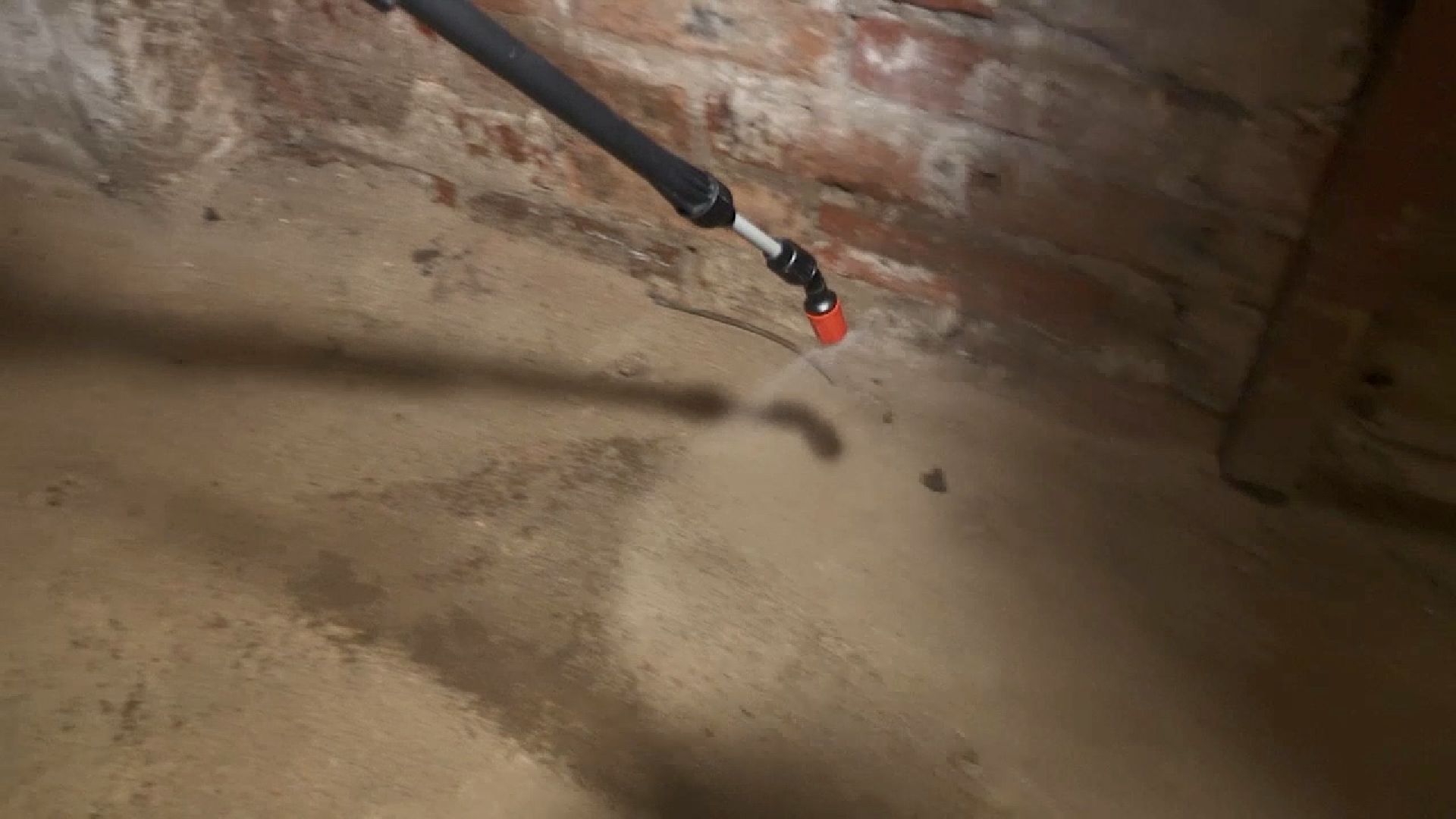 Клин, общество, ЖКХ, борьба с насекомыми