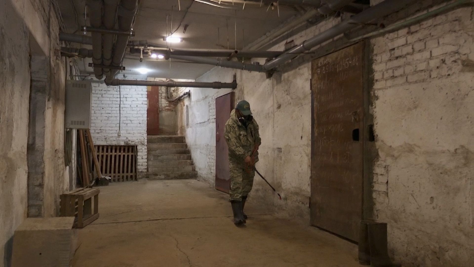 Клин, общество, ЖКХ, борьба с насекомыми