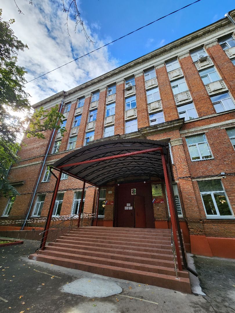 Химки, выборы, Роднина, голосование, музыка