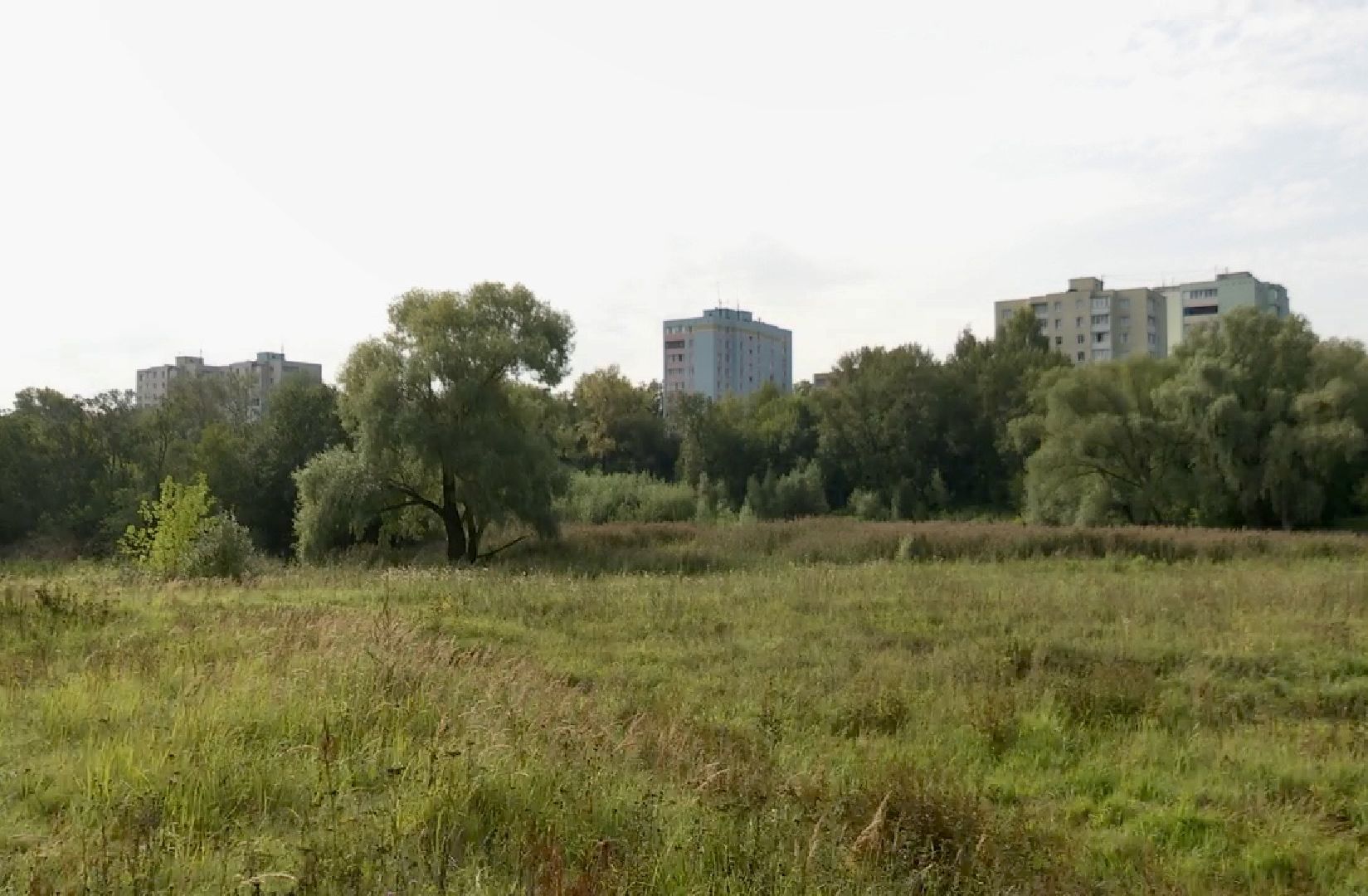 Клин, общество, туризм, культура