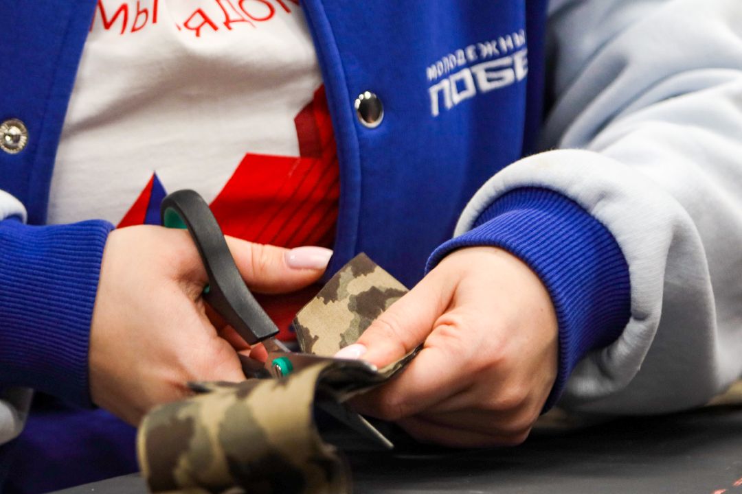 Домодедово, волонтеры, общество