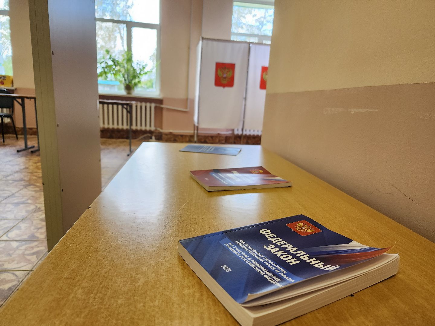 Выборы, голосование, Манихино