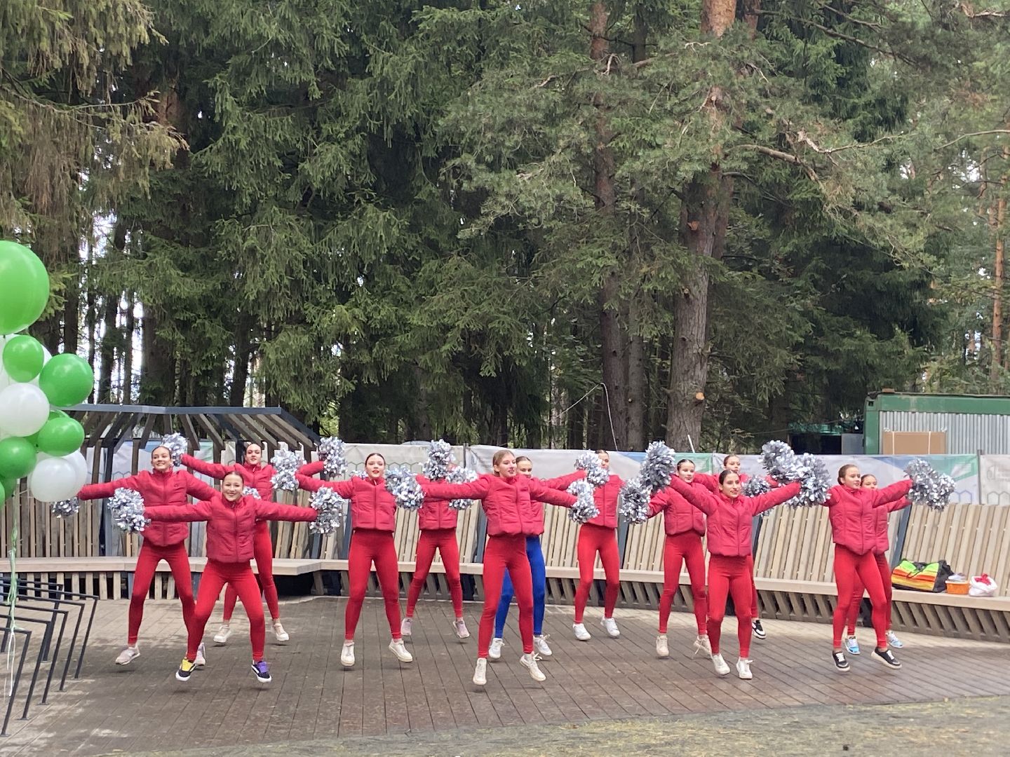 парк, лесопарк,