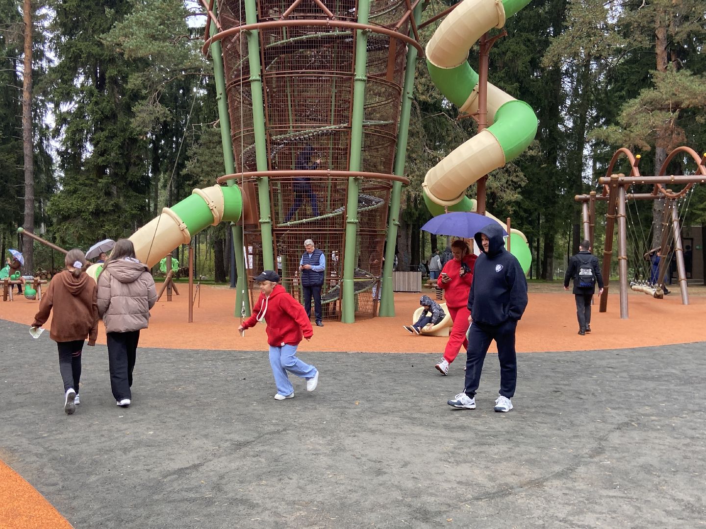 парк, лесопарк,