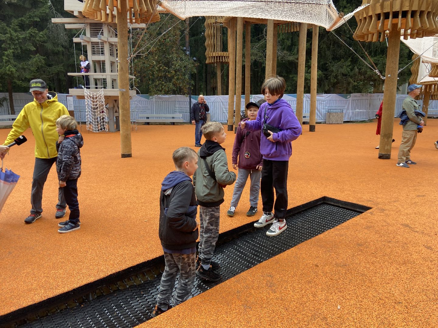 парк, лесопарк,