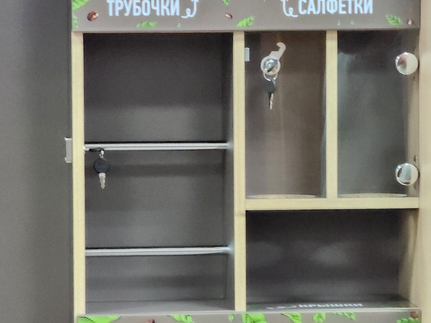 Долгопрудный, выборы, кофе, Владислав Юдин