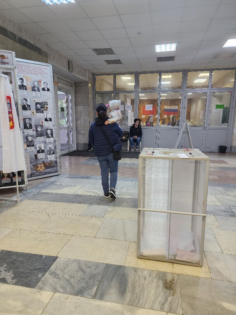 пушкино, выборы, выборы губернатора московской области, лес, многодетная семья,