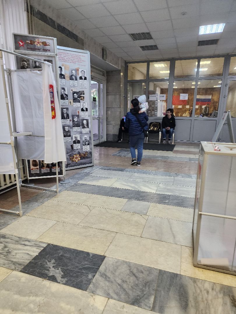 пушкино, выборы, выборы губернатора московской области, лес, многодетная семья,