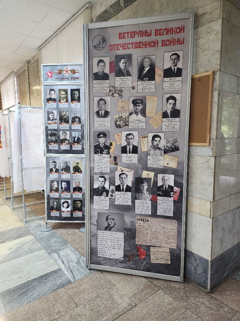 пушкино, выборы, выборы губернатора московской области, лес, многодетная семья,