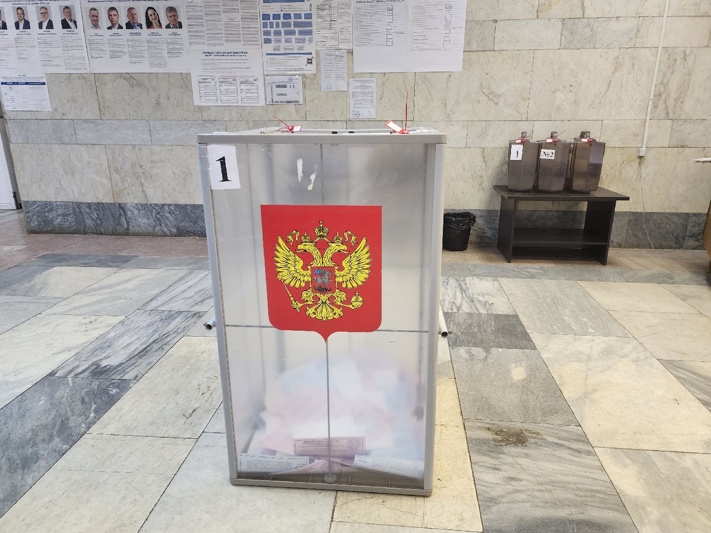 пушкино, выборы, выборы губернатора московской области, лес, многодетная семья,