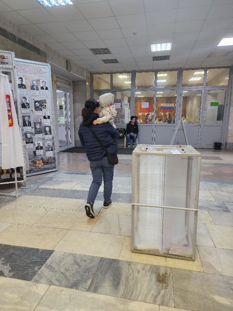 пушкино, выборы, выборы губернатора московской области, лес, многодетная семья,