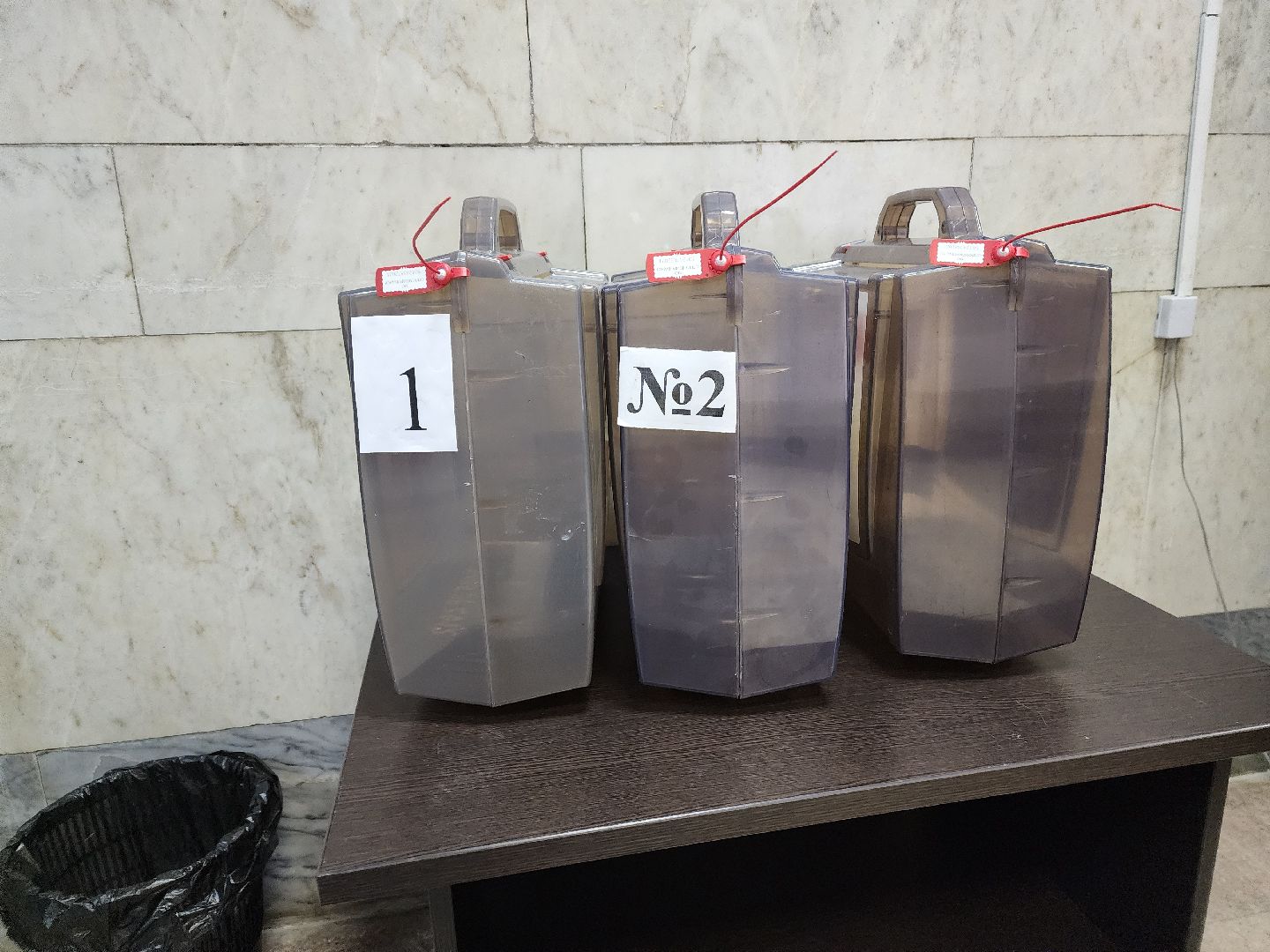 пушкино, выборы, выборы губернатора московской области, лес, многодетная семья,