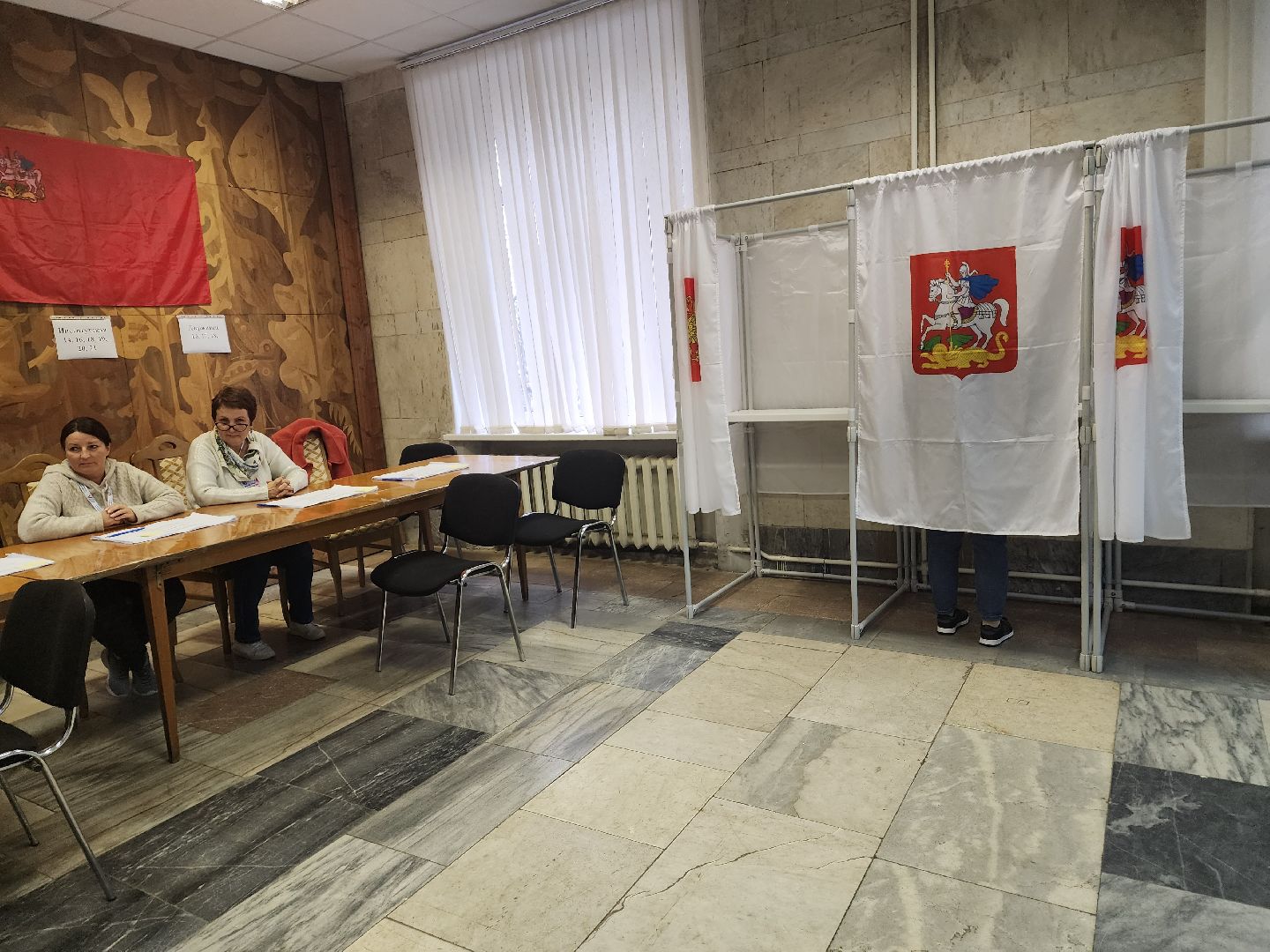 пушкино, выборы, выборы губернатора московской области, лес, многодетная семья,