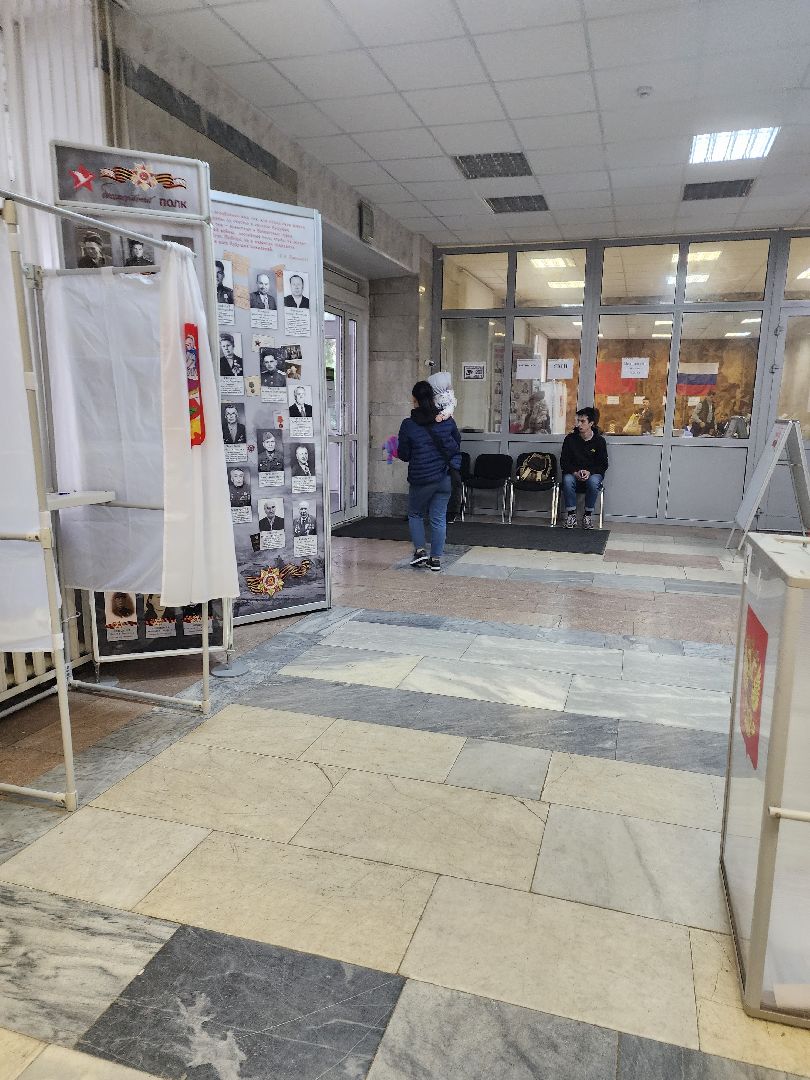 пушкино, выборы, выборы губернатора московской области, лес, многодетная семья,