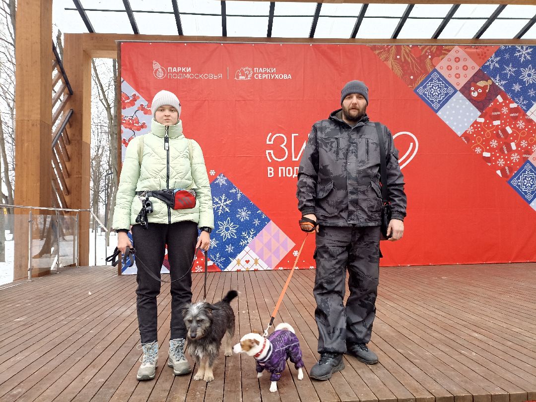 Серпухов, парк, дрессировка, собаки