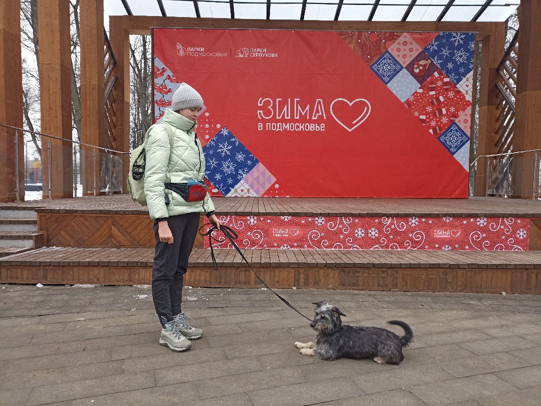 Серпухов, парк, дрессировка, собаки