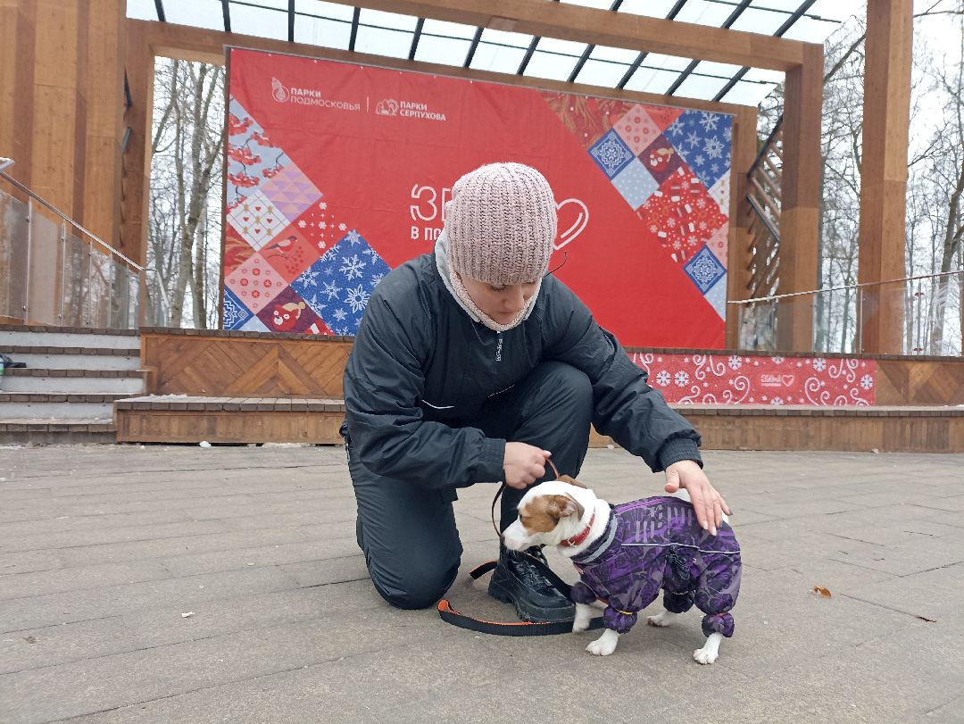 Серпухов, парк, дрессировка, собаки