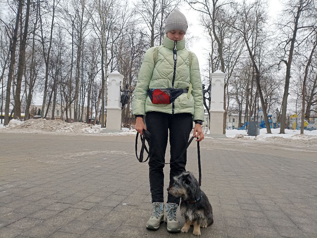 Серпухов, парк, дрессировка, собаки