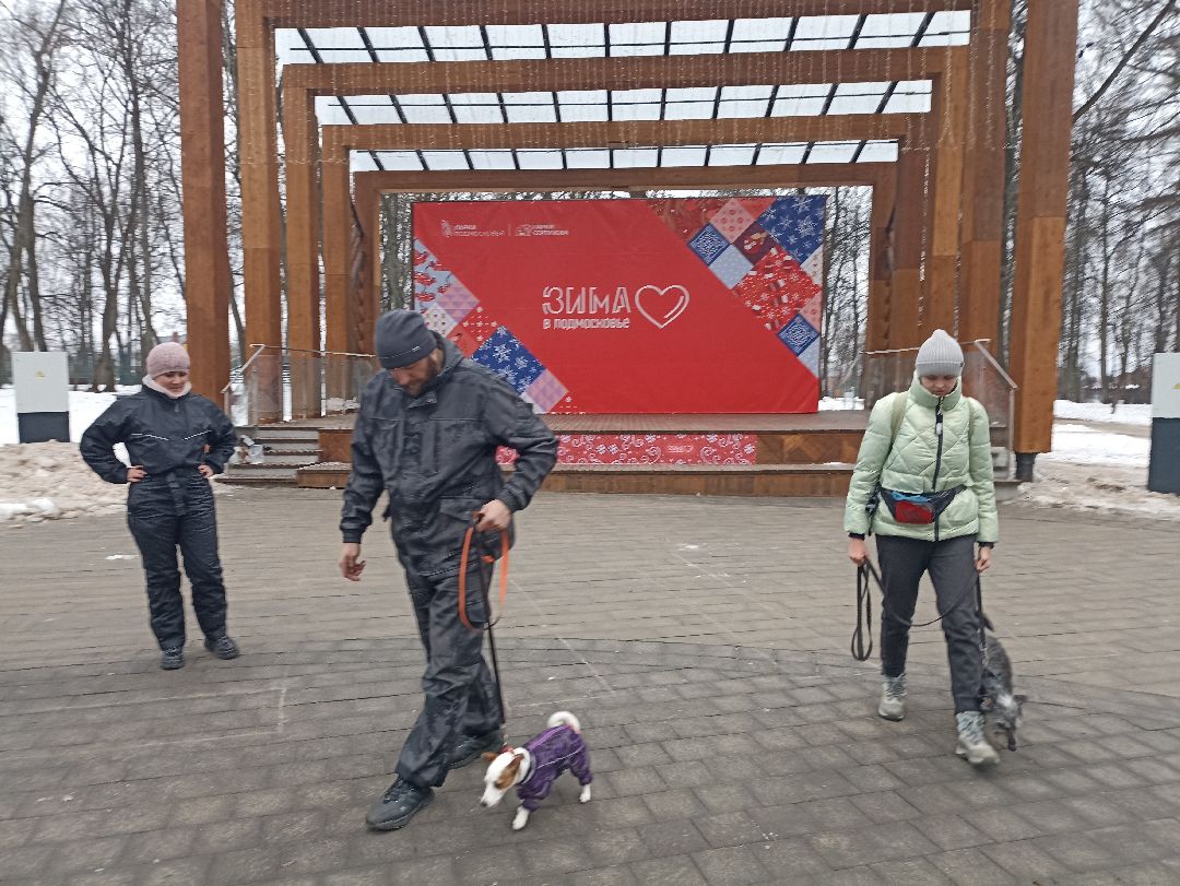 Серпухов, парк, дрессировка, собаки