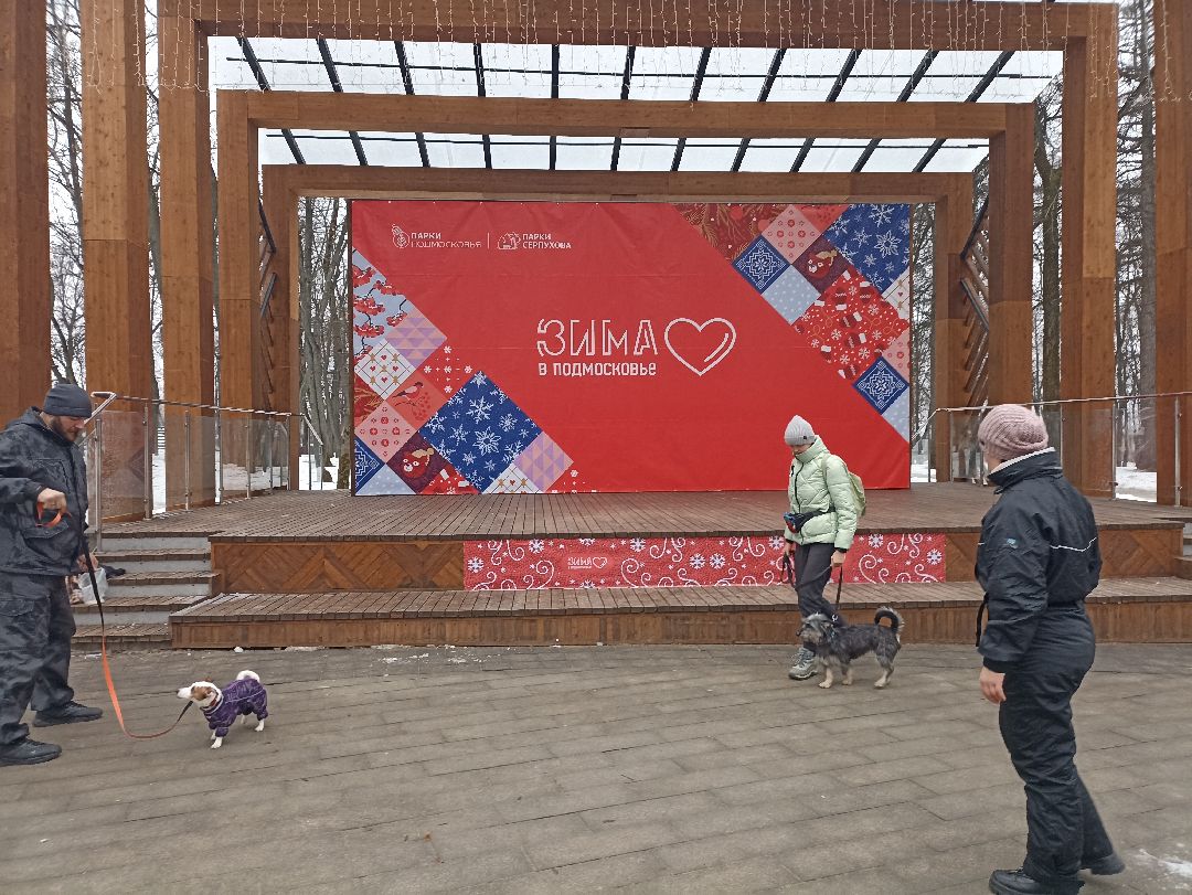 Серпухов, парк, дрессировка, собаки