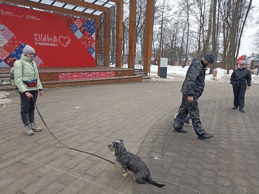 Серпухов, парк, дрессировка, собаки