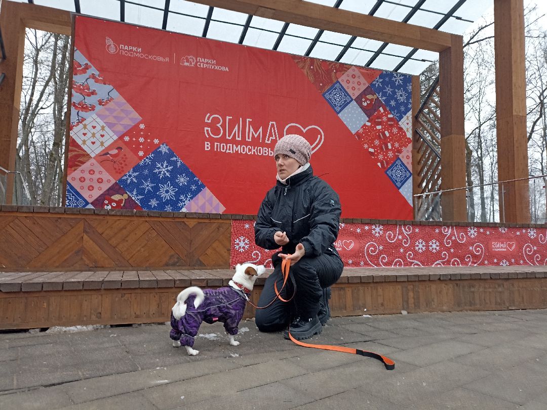 Серпухов, парк, дрессировка, собаки