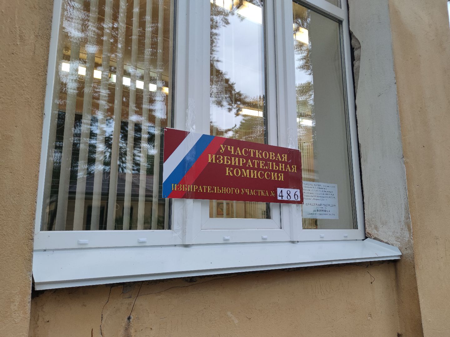 Общественный наблюдатель, впервые голосующий, избирательный участок, Дубна