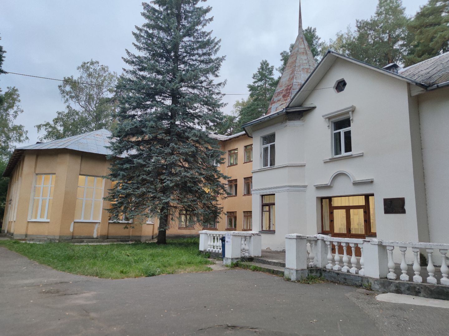 Общественный наблюдатель, впервые голосующий, избирательный участок, Дубна