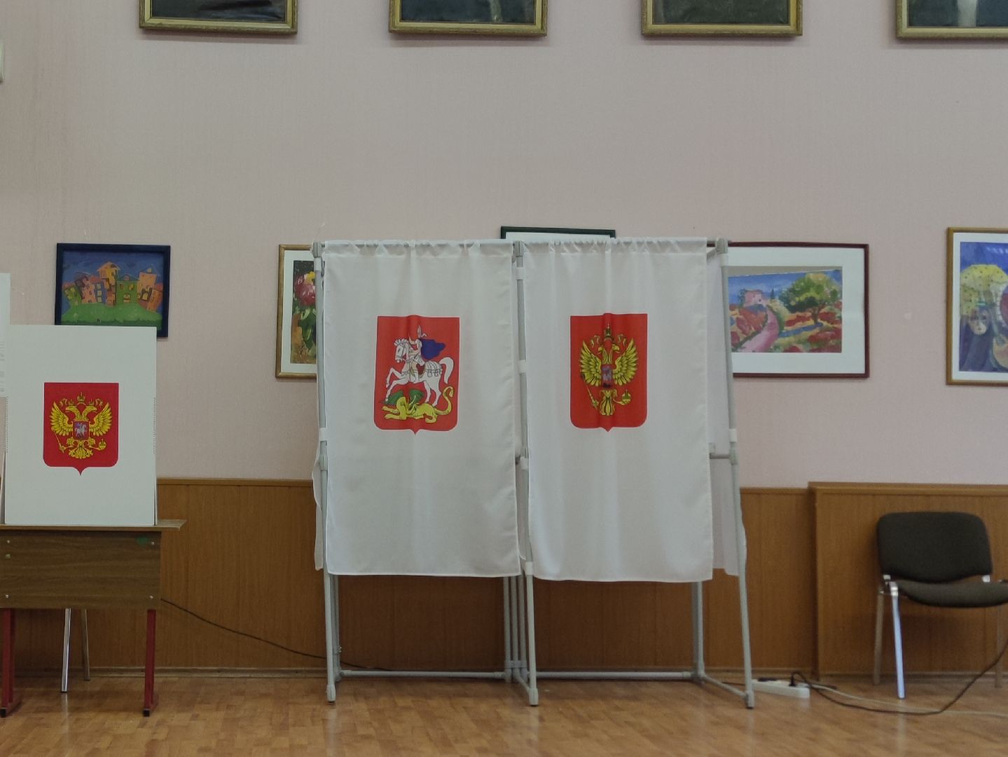 Общественный наблюдатель, впервые голосующий, избирательный участок, Дубна