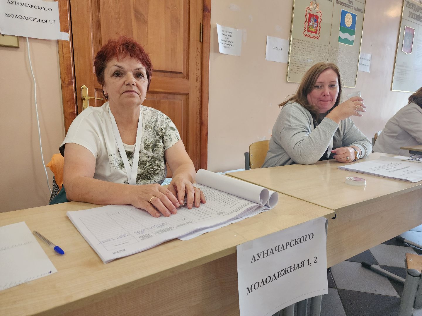 Выборы, голосование, Павловская слобода