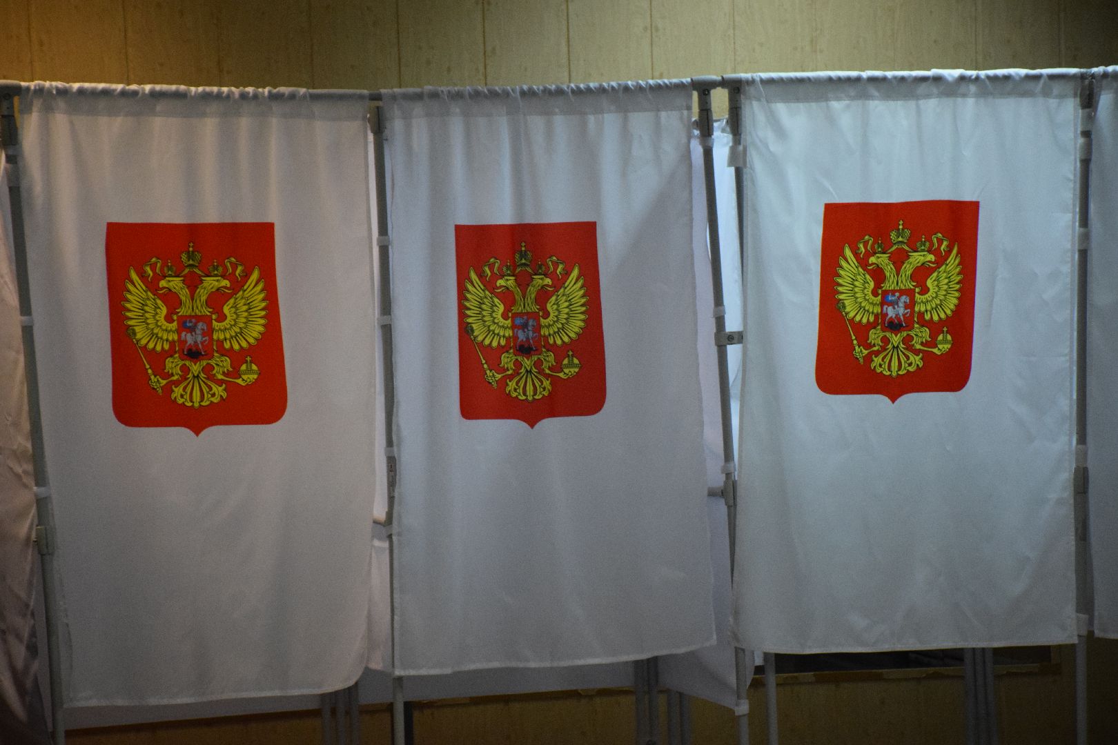 Павловский Посад, городской округ Павловский Посад, выборы, люди, голосование, Подмосковье выбирает 2023, ЕДГ2023