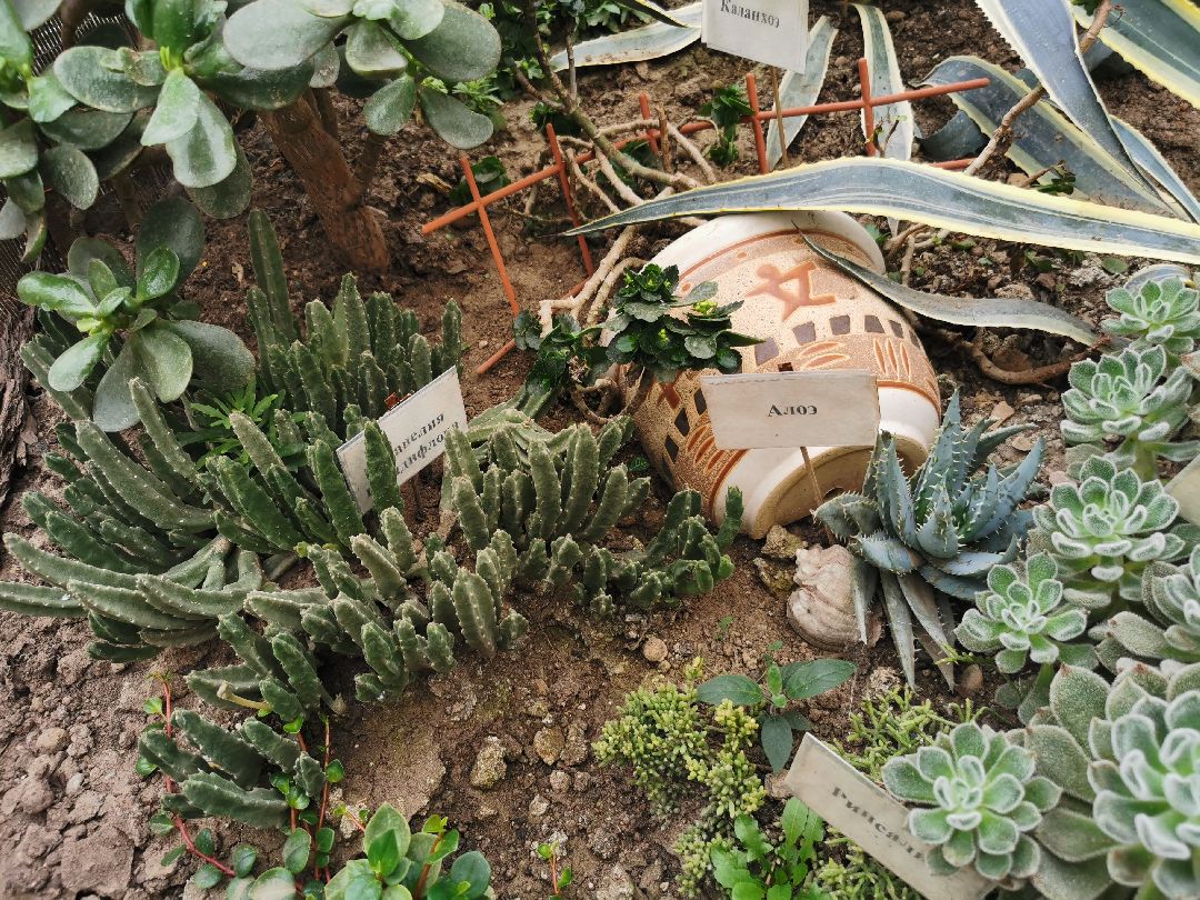 Подольск, образование