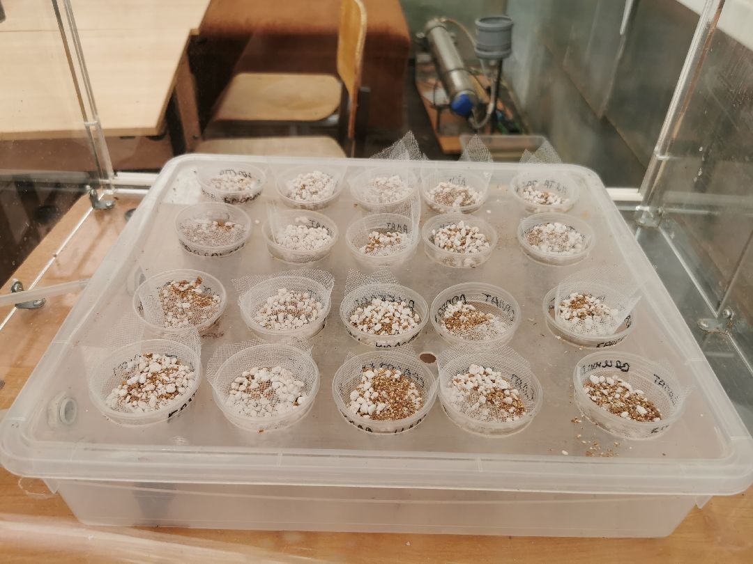 Подольск, образование