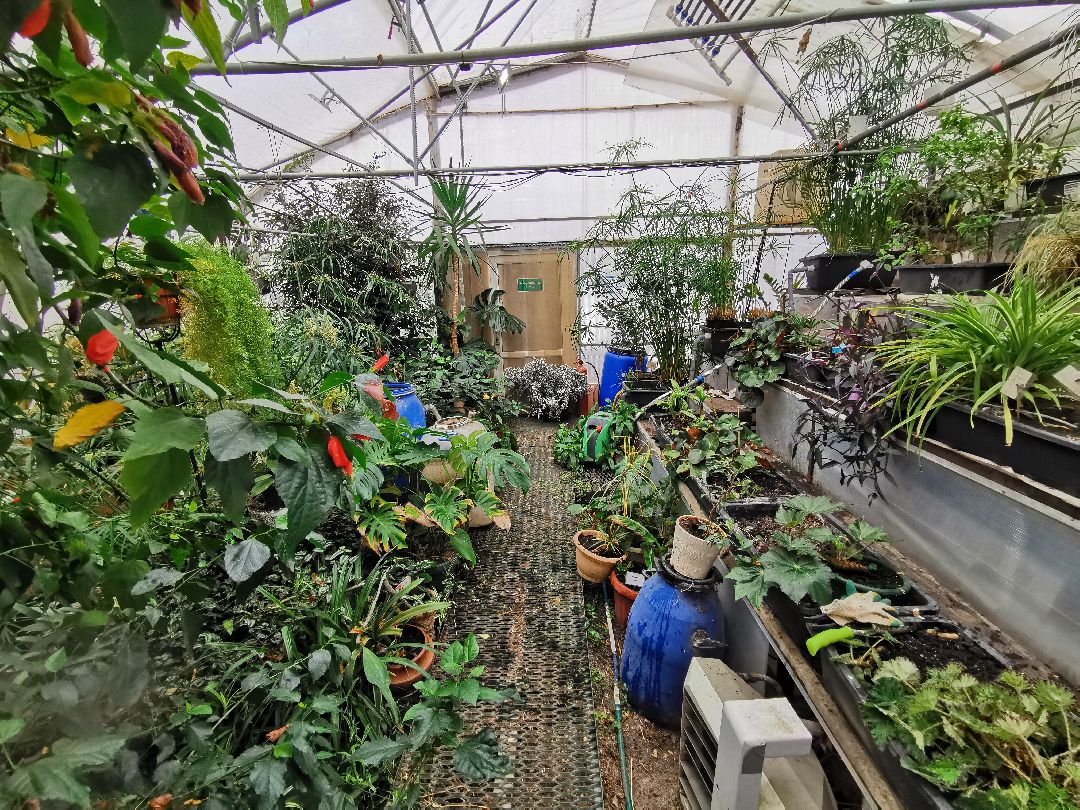 Подольск, образование