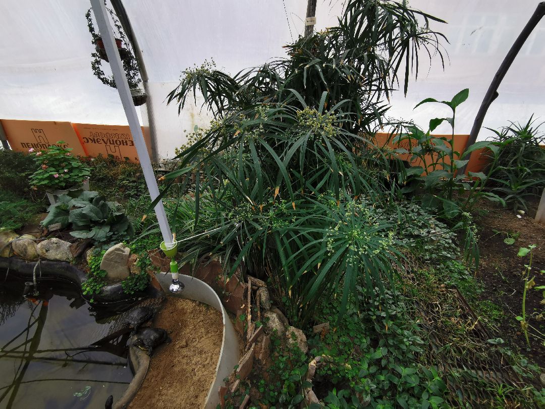 Подольск, образование