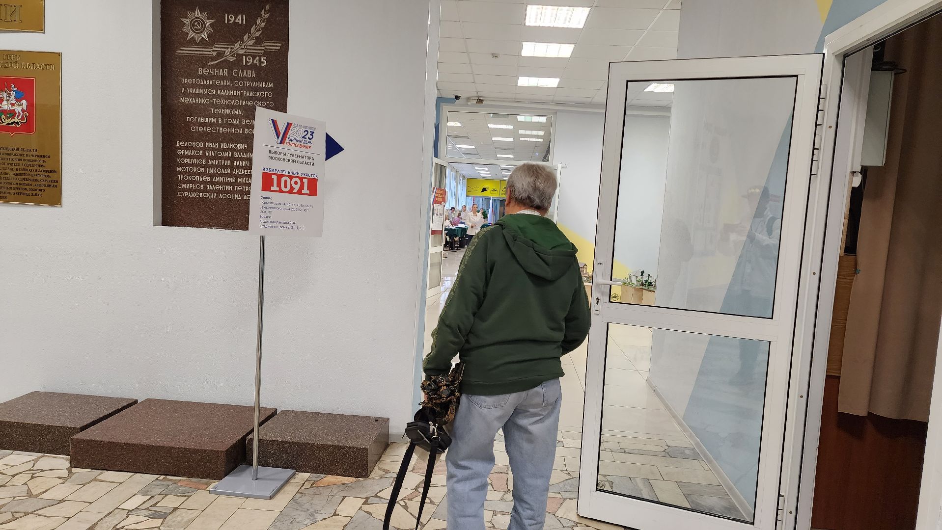 выборы 2023, выборы губернатора московской области, голосование,