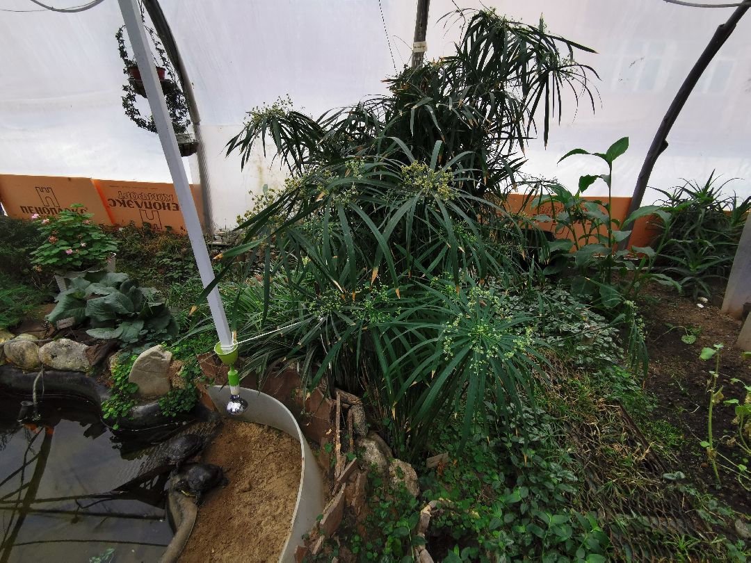 Подольск, образование