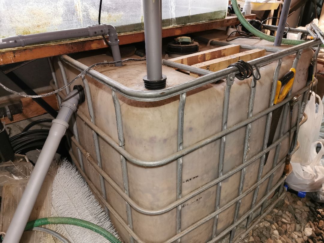 Подольск, образование