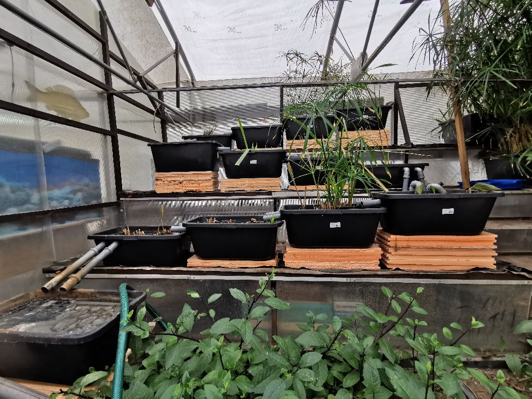 Подольск, образование