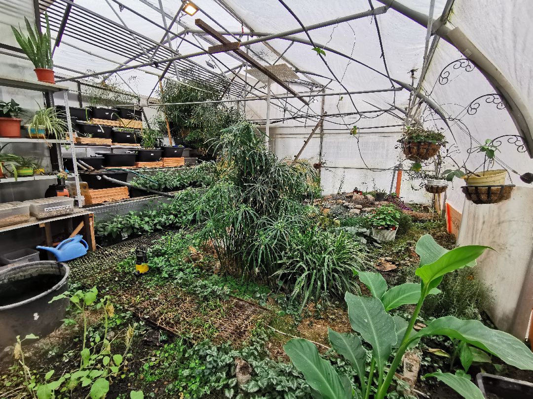 Подольск, образование