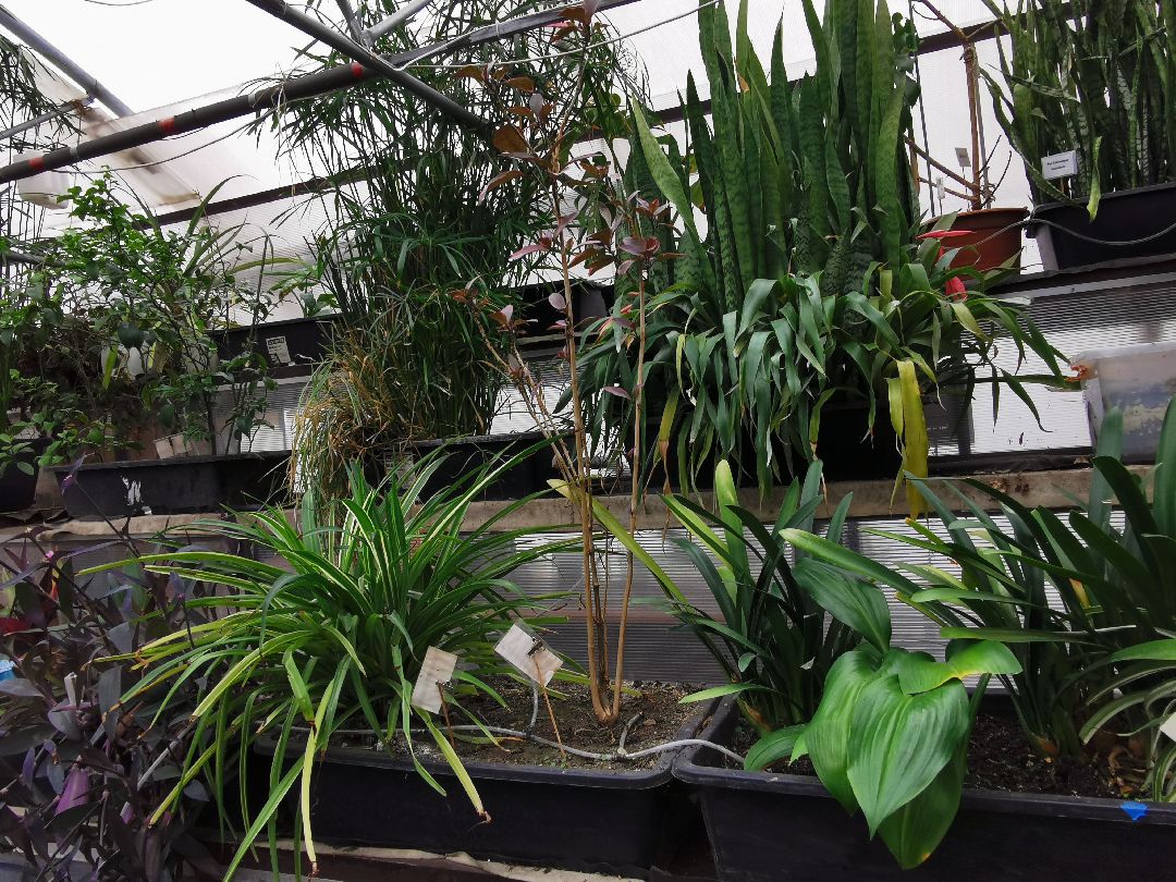 Подольск, образование