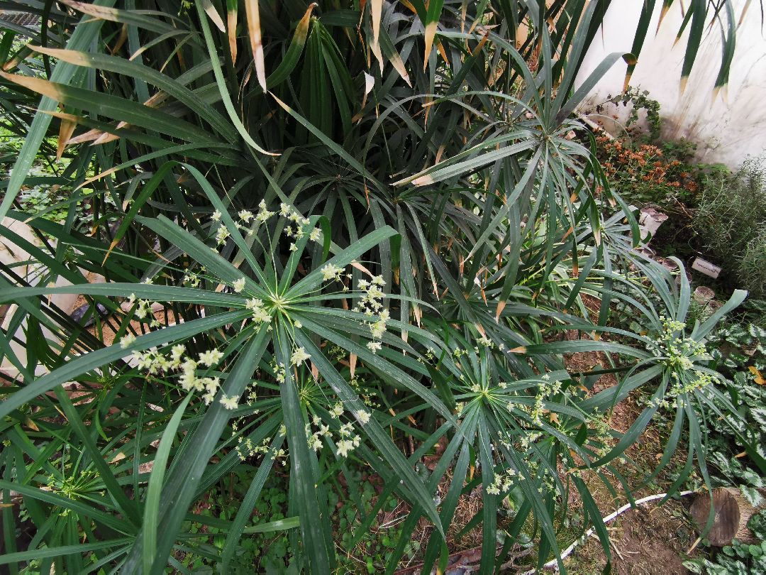 Подольск, образование