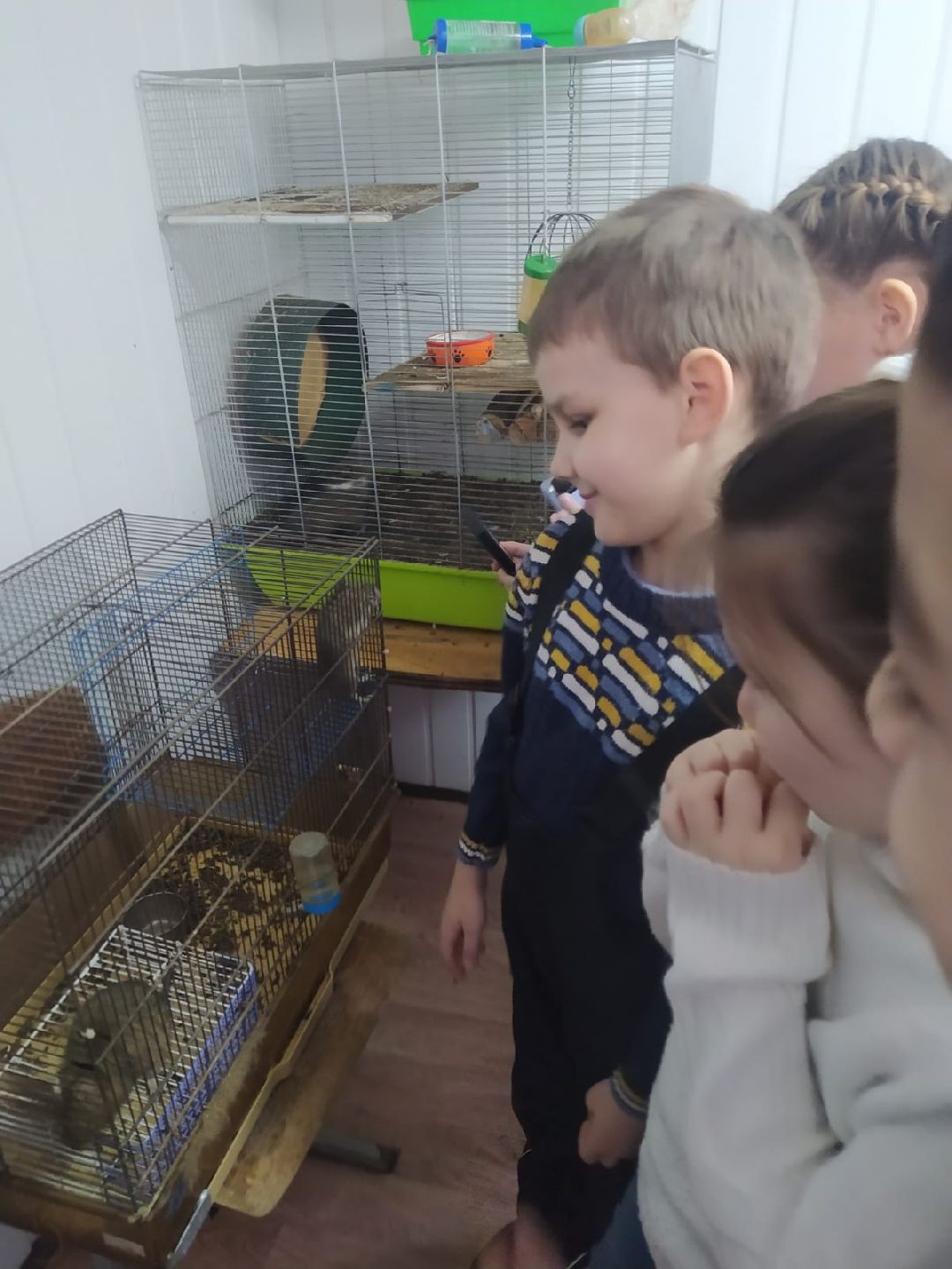 Подольск, образование