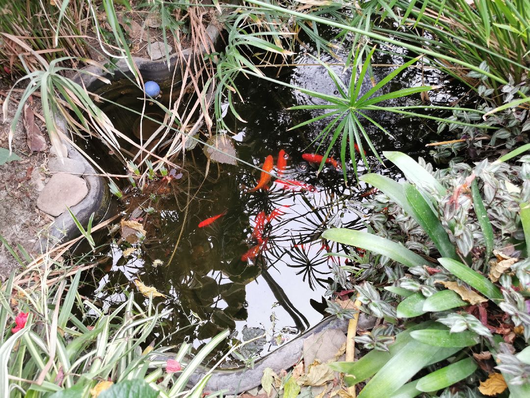 Подольск, образование