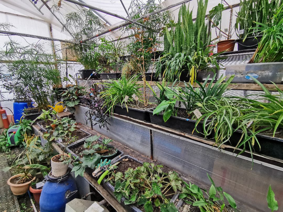 Подольск, образование